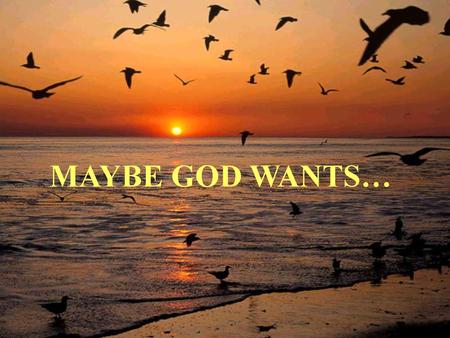 MAYBE GOD WANTS….