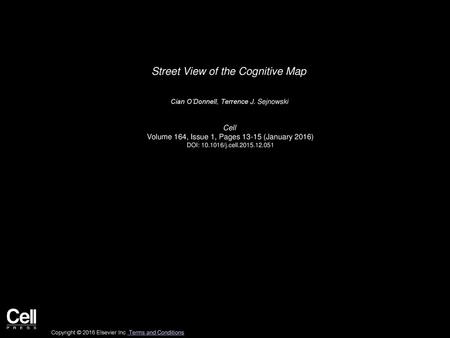 Street View of the Cognitive Map