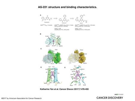 AG-221 structure and binding characteristics.