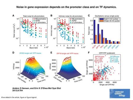 Noise in gene expression depends on the promoter class and on TF dynamics. Noise in gene expression depends on the promoter class and on TF dynamics. (A,