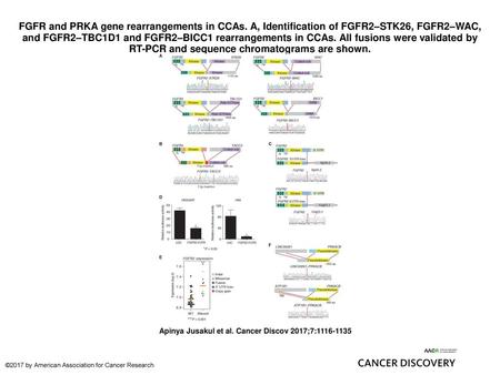 FGFR and PRKA gene rearrangements in CCAs