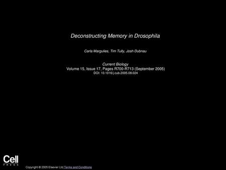 Deconstructing Memory in Drosophila