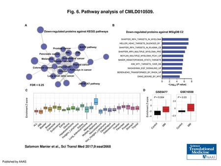 Fig. 6. Pathway analysis of CMLD