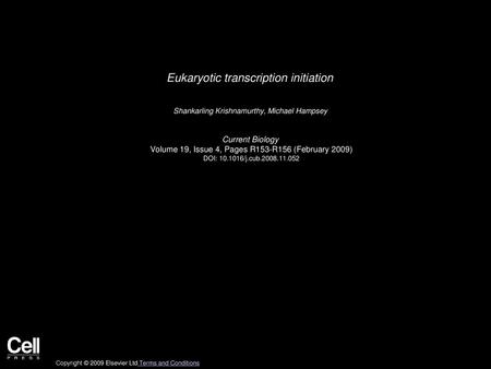 Eukaryotic transcription initiation