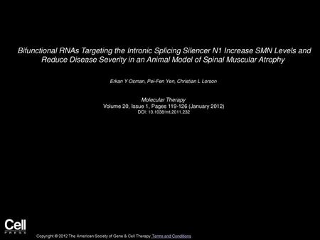 Bifunctional RNAs Targeting the Intronic Splicing Silencer N1 Increase SMN Levels and Reduce Disease Severity in an Animal Model of Spinal Muscular Atrophy 
