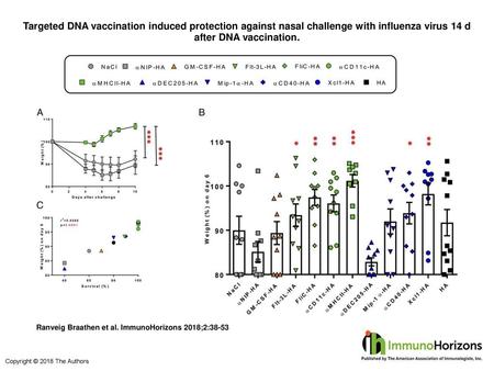 Targeted DNA vaccination induced protection against nasal challenge with influenza virus 14 d after DNA vaccination. Targeted DNA vaccination induced protection.