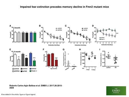 Impaired fear extinction precedes memory decline in Fmn2 mutant mice