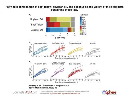 Fatty acid composition of beef tallow, soybean oil, and coconut oil and weight of mice fed diets containing those fats. Fatty acid composition of beef.