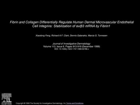 Fibrin and Collagen Differentially Regulate Human Dermal Microvascular Endothelial Cell Integrins: Stabilization of αv/β3 mRNA by Fibrin1  Xiaodong Feng,