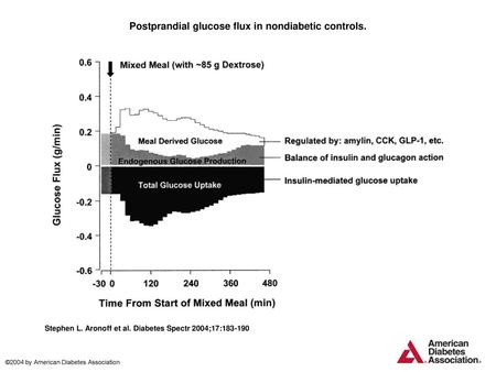 Postprandial glucose flux in nondiabetic controls.