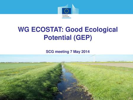 WG ECOSTAT: Good Ecological Potential (GEP)