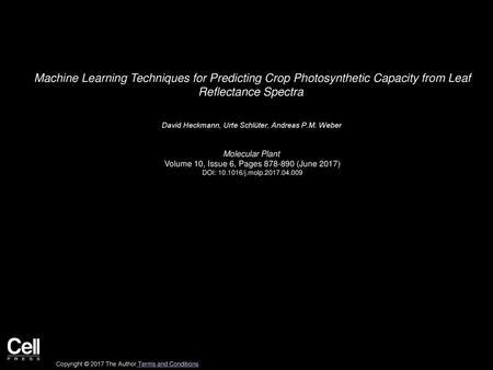 Machine Learning Techniques for Predicting Crop Photosynthetic Capacity from Leaf Reflectance Spectra  David Heckmann, Urte Schlüter, Andreas P.M. Weber 