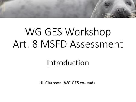 WG GES Workshop Art. 8 MSFD Assessment
