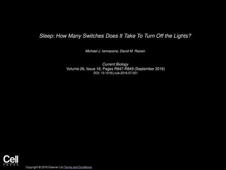 Sleep: How Many Switches Does It Take To Turn Off the Lights?