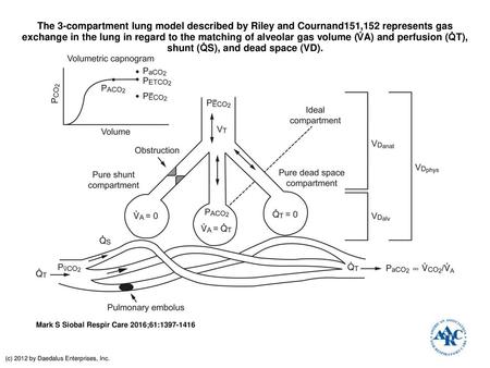 The 3-compartment lung model described by Riley and Cournand151,152 represents gas exchange in the lung in regard to the matching of alveolar gas volume.