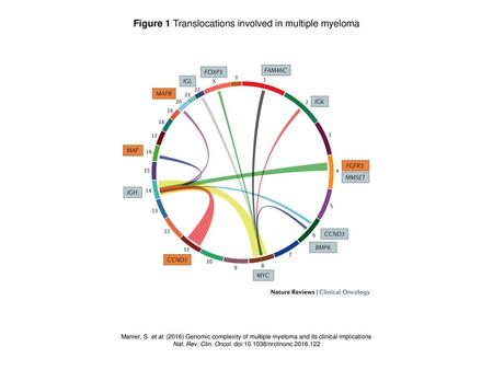 Figure 1 Translocations involved in multiple myeloma
