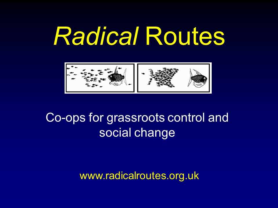 Radical Routes Co-ops for grassroots control and social change - ppt  download