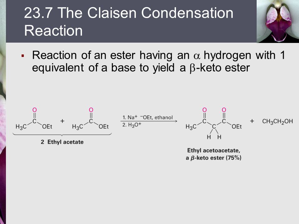 23.7 The Claisen Condensation Reaction - ppt video online download