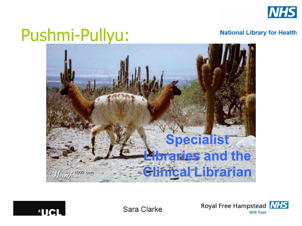 Pushmi-Pullyu: Specialist Libraries and the Clinical Librarian Sara Clarke.  - ppt download