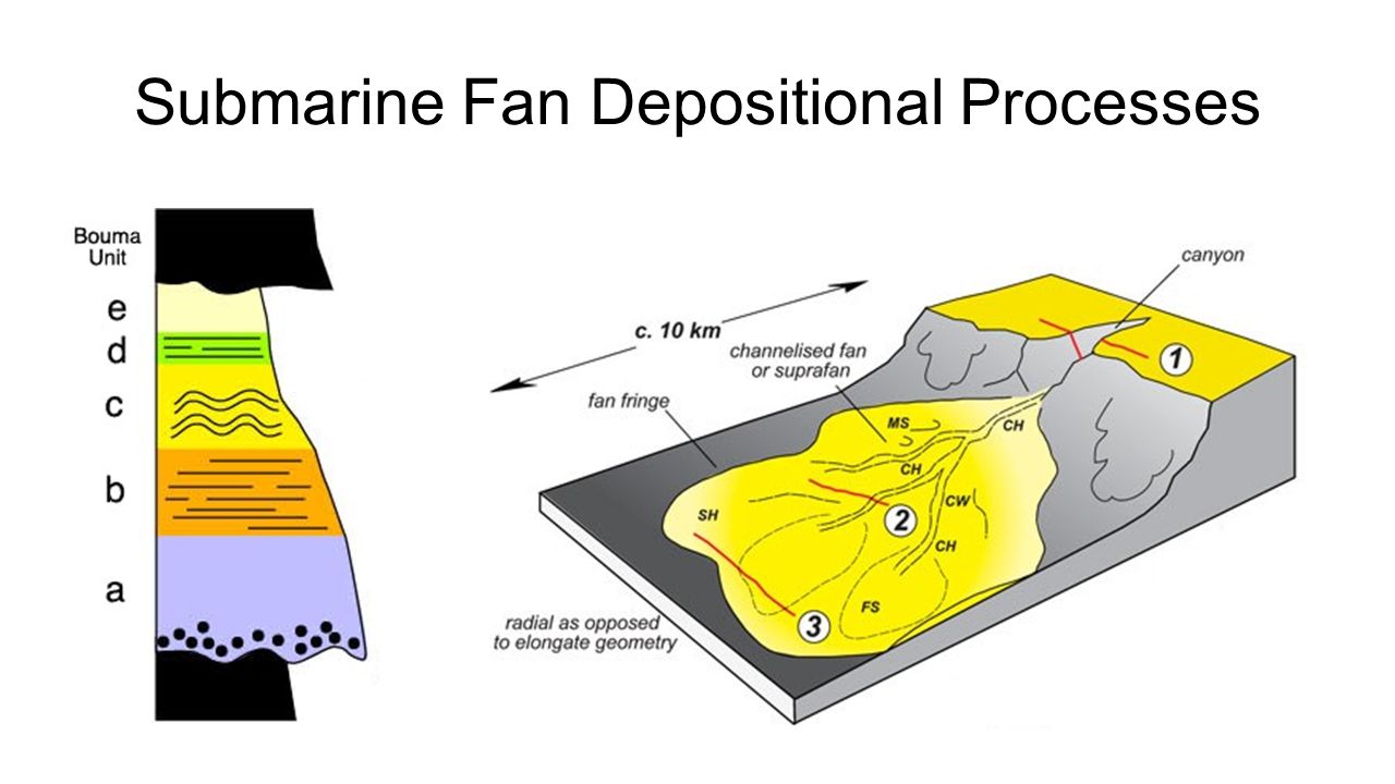 Submarine Fan Depositional Processes - ppt video online download