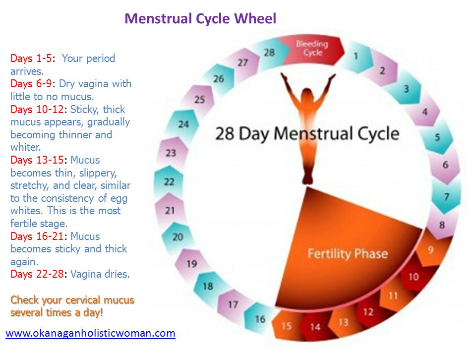 One Day Period: Is A Short Period Normal?