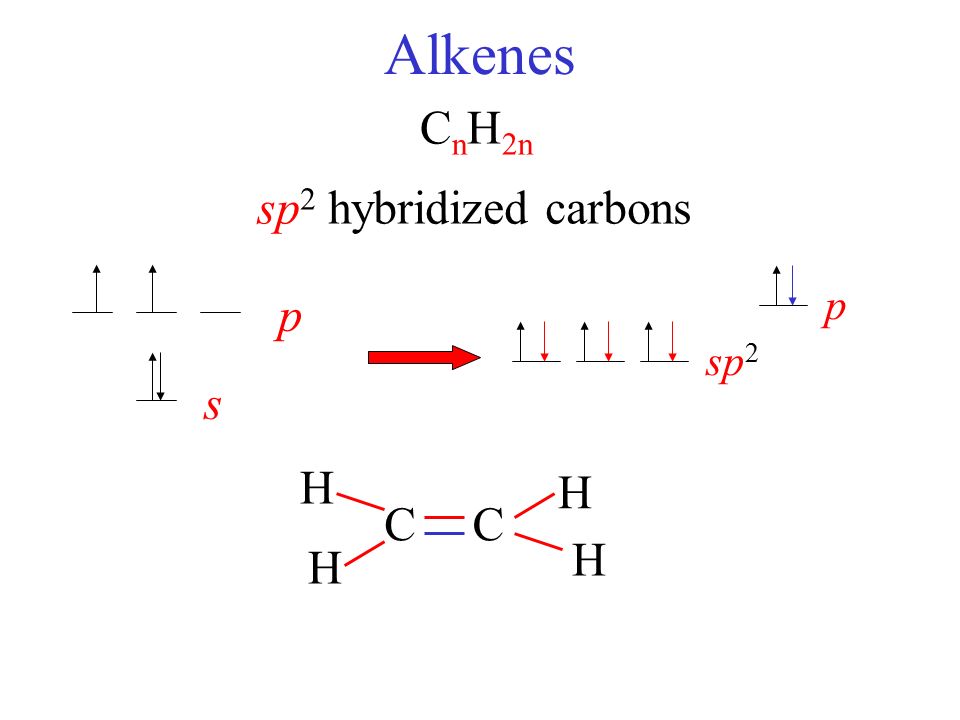 Alkenes CnH2n sp2 hybridized carbons s p p sp2 H H C C H H. - ppt video  online download