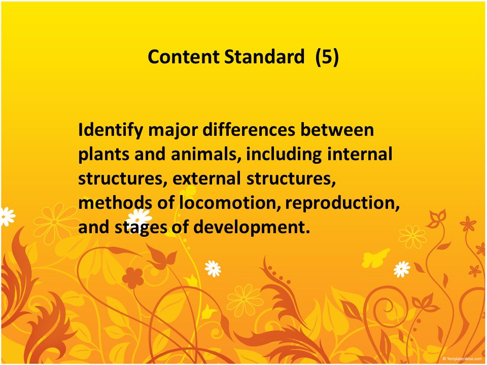 Content Standard (5) Identify major differences between plants and animals,  including internal structures, external structures, methods of locomotion,  - ppt video online download