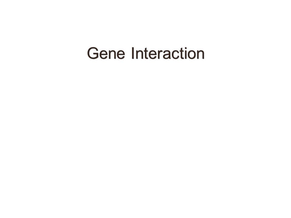 non allelic gene interaction definition