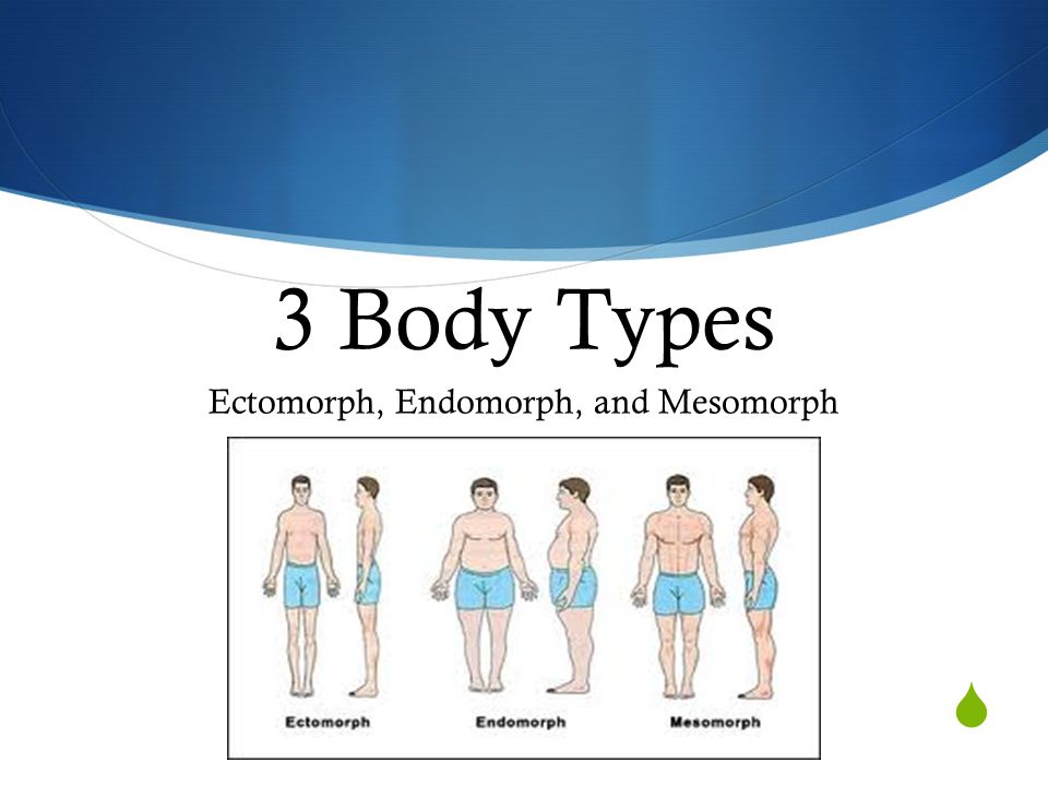 body types ectomorph mesomorph endomorph