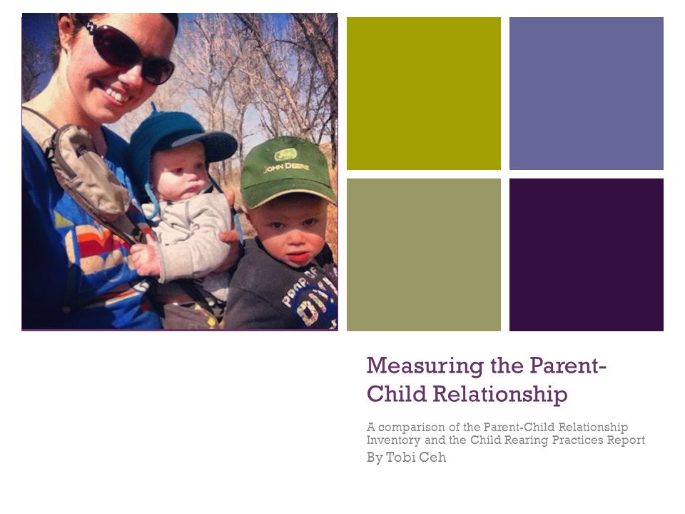 Measuring The Parent Child Relationship Ppt Video Online Download