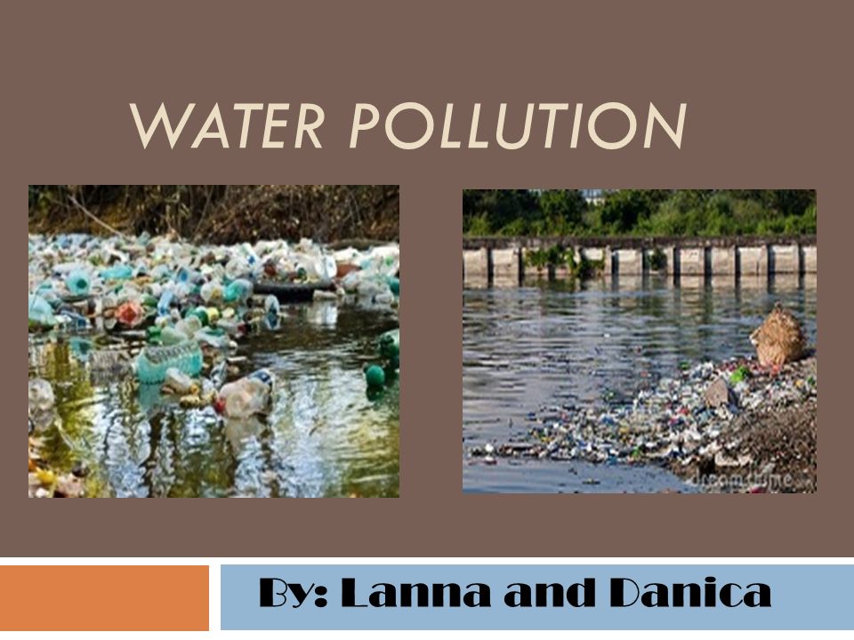 water pollution effects on animals and plants