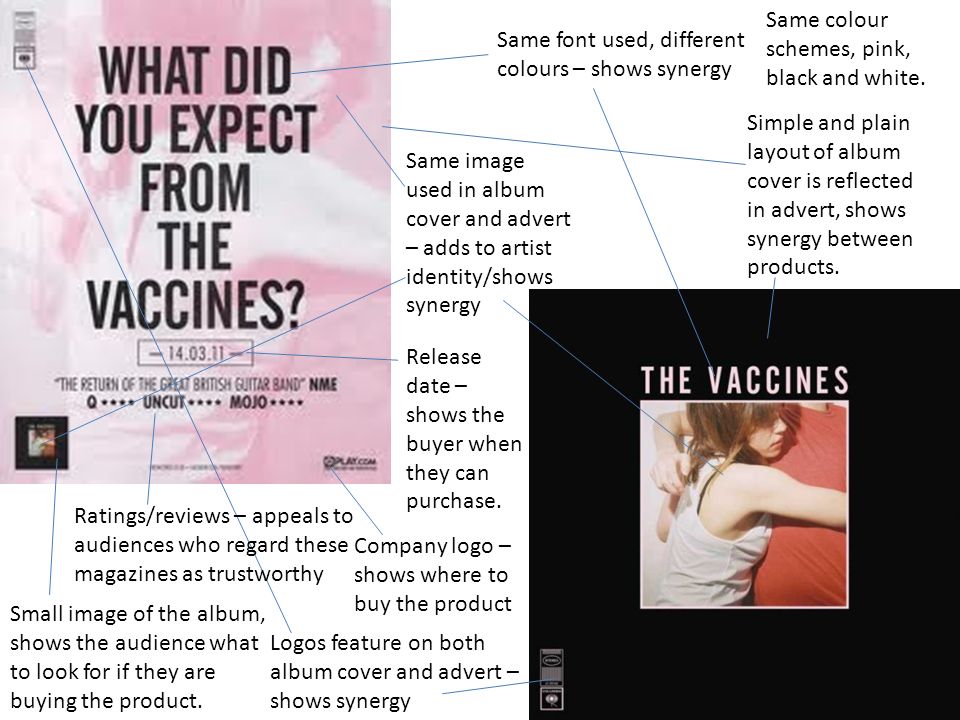the vaccines album voer