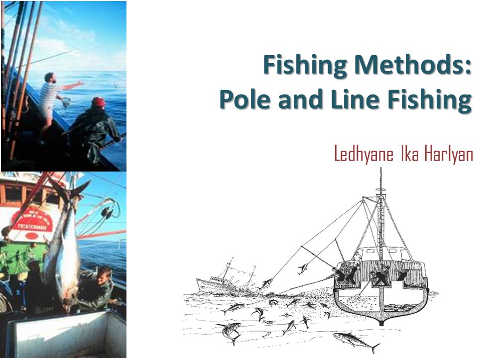 Fishing Methods: Pole and Line Fishing Ledhyane Ika Harlyan. - ppt download
