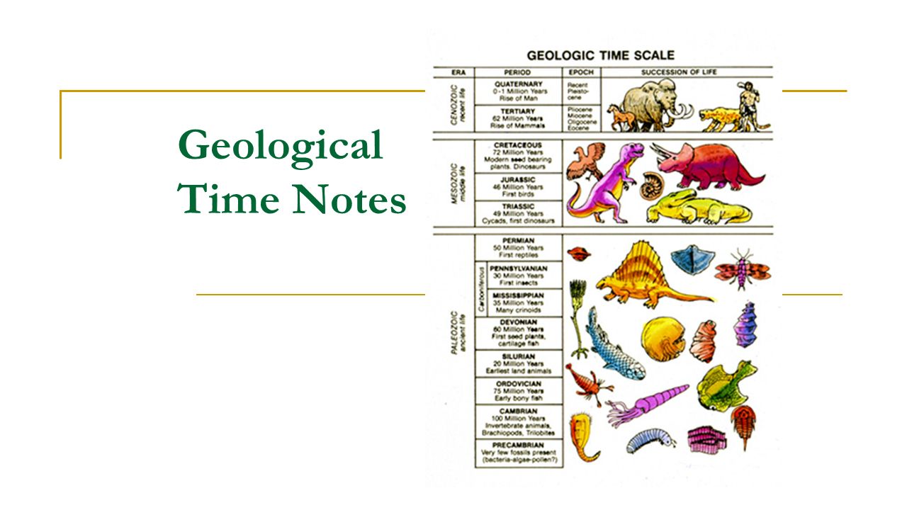 Geological Time Notes. In your NB: Video clip – Age of Life on Earth in if  it Was 24 Hours Video clip 1. How. - ppt download