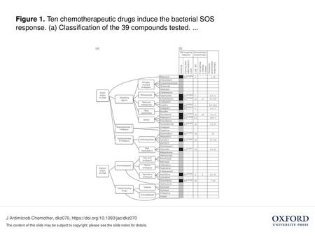 Figure 1. Ten chemotherapeutic drugs induce the bacterial SOS response