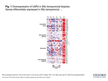 Genes differentially expressed in SSc tenosynovial ...