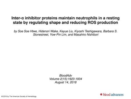 Inter-α inhibitor proteins maintain neutrophils in a resting state by regulating shape and reducing ROS production by Soe Soe Htwe, Hidenori Wake, Keyue.
