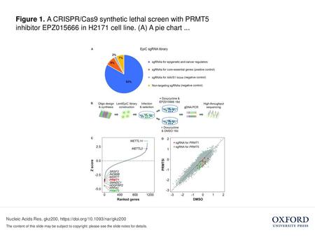 Figure 1. A CRISPR/Cas9 synthetic lethal screen with PRMT5 inhibitor EPZ015666 in H2171 cell line. (A) A pie chart ... Figure 1. A CRISPR/Cas9 synthetic.