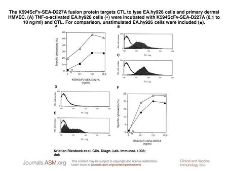 The K594ScFv-SEA-D227A fusion protein targets CTL to lyse EA