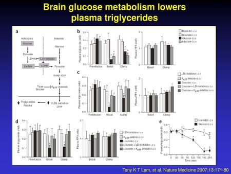 Brain glucose metabolism lowers plasma triglycerides