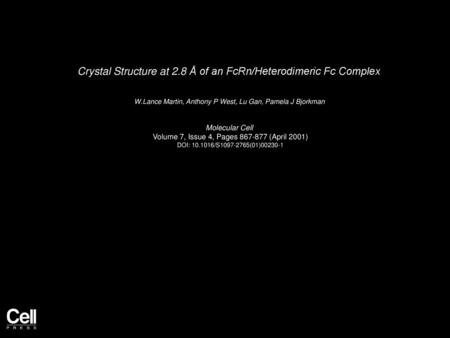 Crystal Structure at 2.8 Å of an FcRn/Heterodimeric Fc Complex