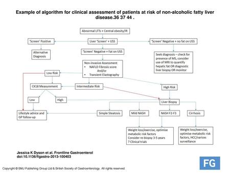 Example of algorithm for clinical assessment of patients at risk of non-alcoholic fatty liver disease.36 37 44 . Example of algorithm for clinical assessment.