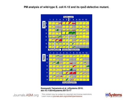 PM analysis of wild-type E. coli K-12 and its rpoZ-defective mutant.