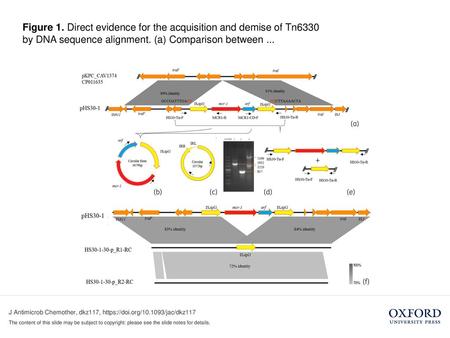Figure 1. Direct evidence for the acquisition and demise of Tn6330 by DNA sequence alignment. (a) Comparison between ... Figure 1. Direct evidence for.
