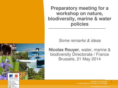 Toitototototoot Preparatory meeting for a workshop on nature, biodiversity, marine & water policies Some remarks & ideas Nicolas Rouyer, water, marine.