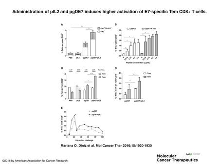 Administration of pIL2 and pgDE7 induces higher activation of E7-specific Tem CD8+ T cells. Administration of pIL2 and pgDE7 induces higher activation.