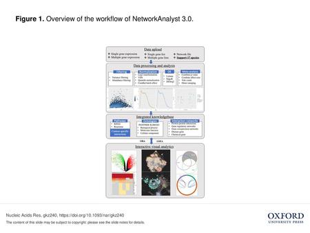 Figure 1. Overview of the workflow of NetworkAnalyst 3.0.