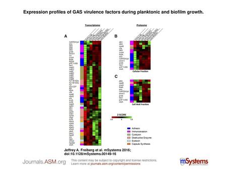 Expression profiles of GAS virulence factors during planktonic and biofilm growth. Expression profiles of GAS virulence factors during planktonic and biofilm.