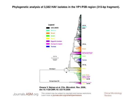 Phylogenetic analysis of 3,582 HAV isolates in the VP1/P2B region (315-bp fragment). Phylogenetic analysis of 3,582 HAV isolates in the VP1/P2B region.