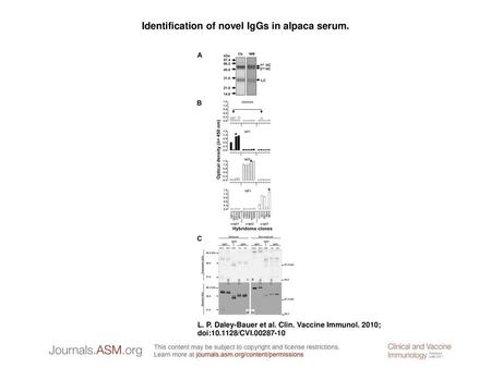 Identification of novel IgGs in alpaca serum.